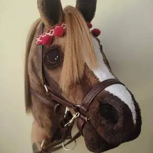 Hobby Horse- Konik na kiju - Hobby horsing