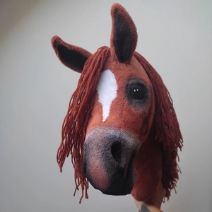 Hobby Horse- Konik na kiju - Hobby horsing