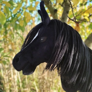 Hobby Horse- Konik na kiju - Hobby horsing