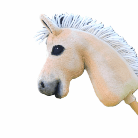 Hobby horse fiord koń fiordzki bułany A5