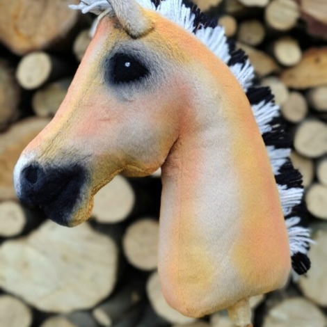 hobby horse fiord koń fiordzki bułany A4