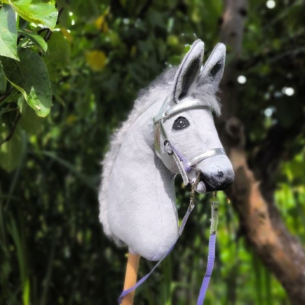 Hobby horse