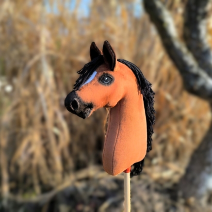 hobby horse