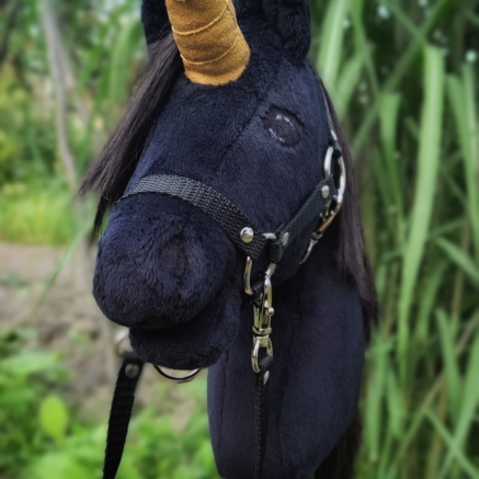 hobby horse, jednorożec