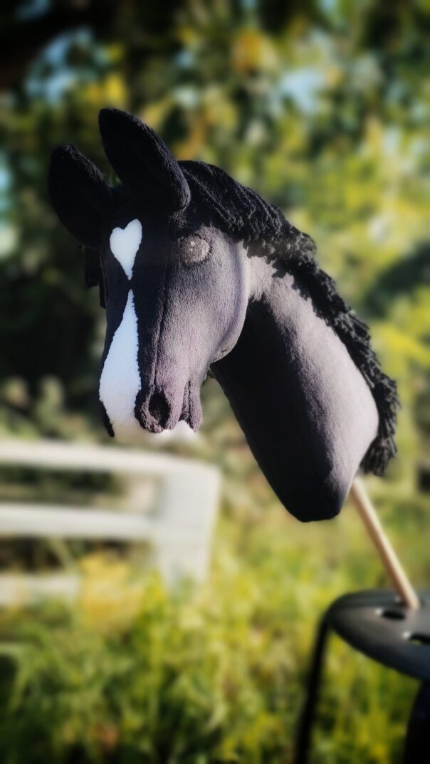 Hobby horse