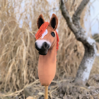 Hobby horse