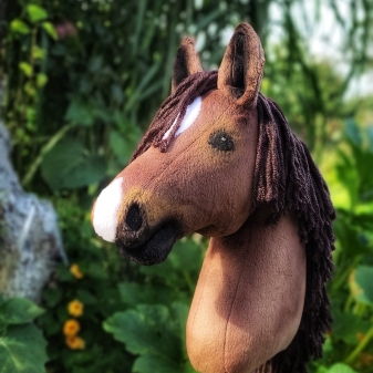 hobby horse