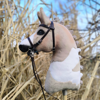 hobby horse