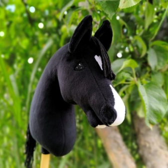 Hobby horse