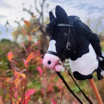 Hobby horse srokaty tobiano realistyczny a4