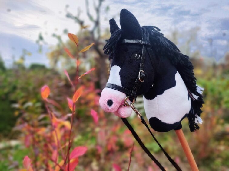 Hobby horse srokaty tobiano realistyczny a4
