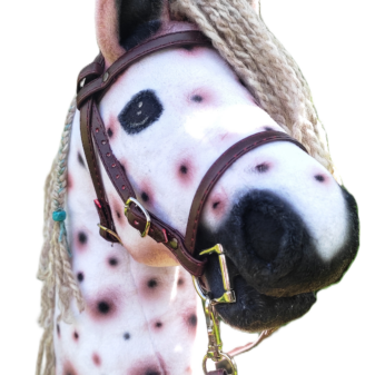 ogłowie, wędzidło, wodze, ogłowie dla hobby horse