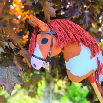 Hobby horse