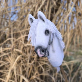Hobby horse