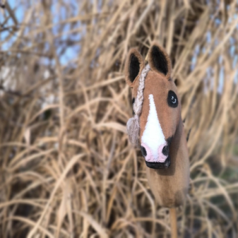 hobby horse