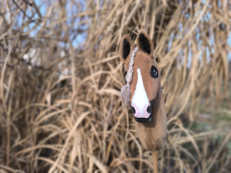 hobby horse