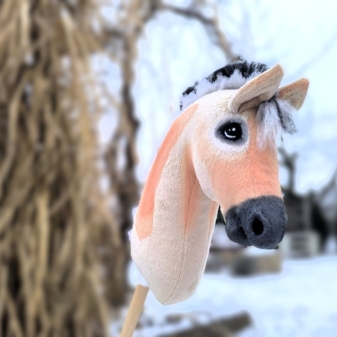hobby horse