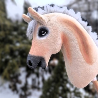 hobby horse fiord fiordzki bułany