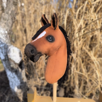 Hobby horse gniady