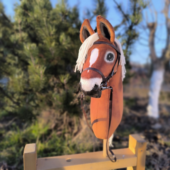 hobby horse