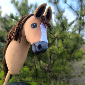 Hobby horse