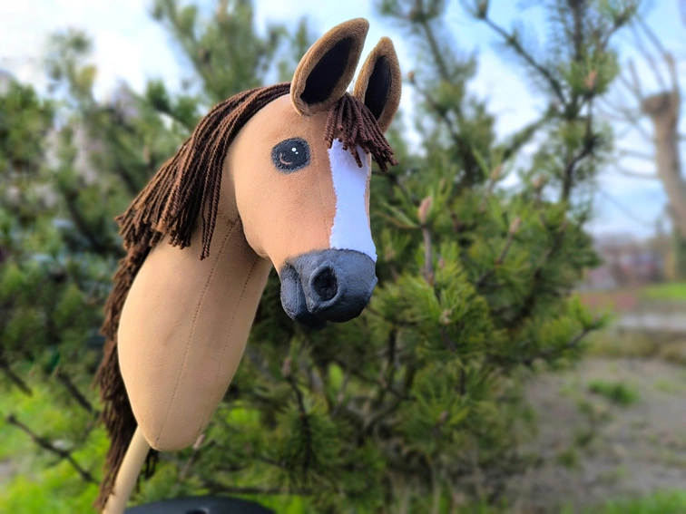 Hobby horse