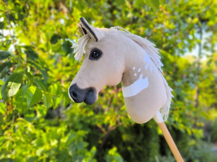 Hobby horse