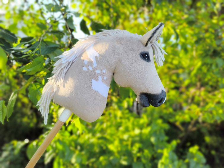 Hobby horse