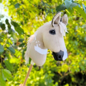 Hobby horse