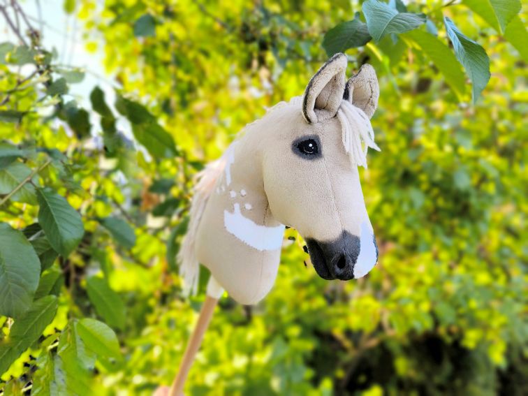 Hobby horse