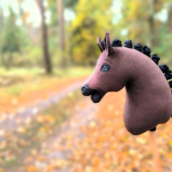 Hobby horse