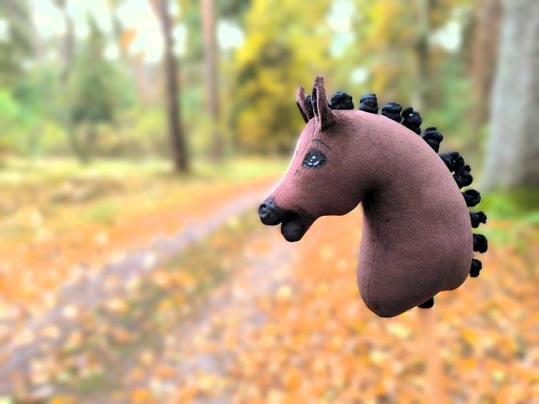 Hobby horse