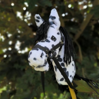 Hobby horse, czarno-biały, tarantowaty, A5