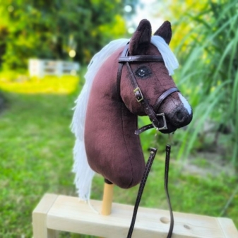 hobby horse