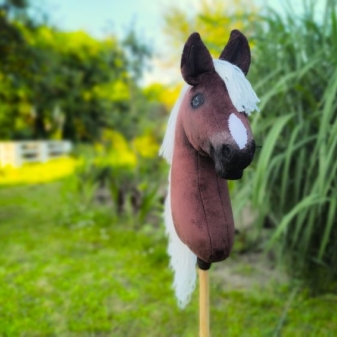 hobby horse