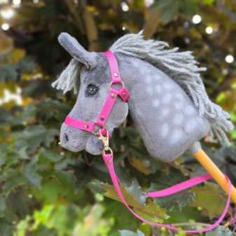 Hobby horse