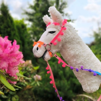 Lama na kiju