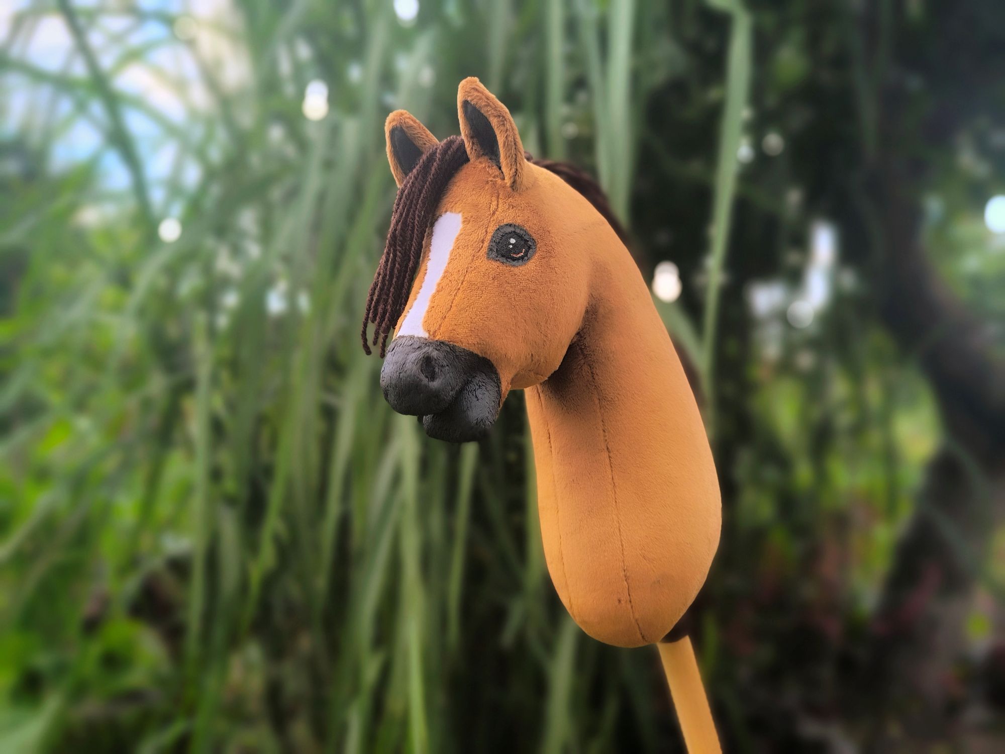 hobby horse