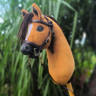 hobby horse