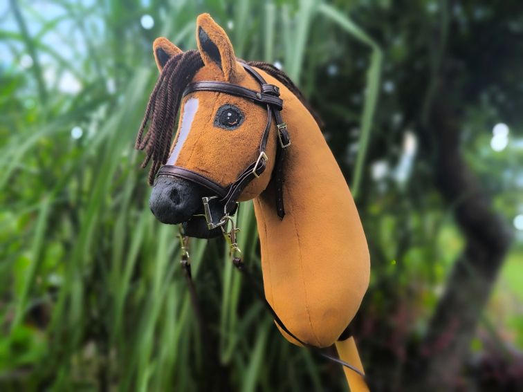 hobby horse