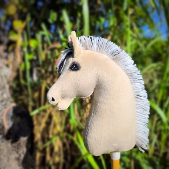 Hobby Horse