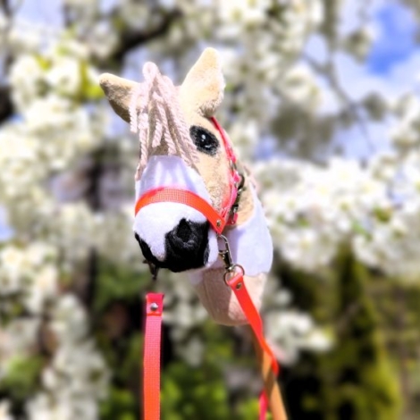 hobby horse sklep
